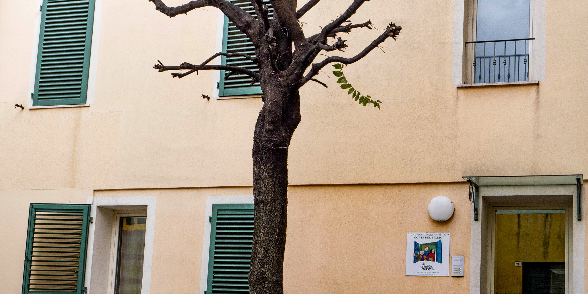 Cohousing 